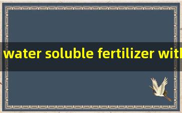 water soluble fertilizer with micro nutrients supplier
